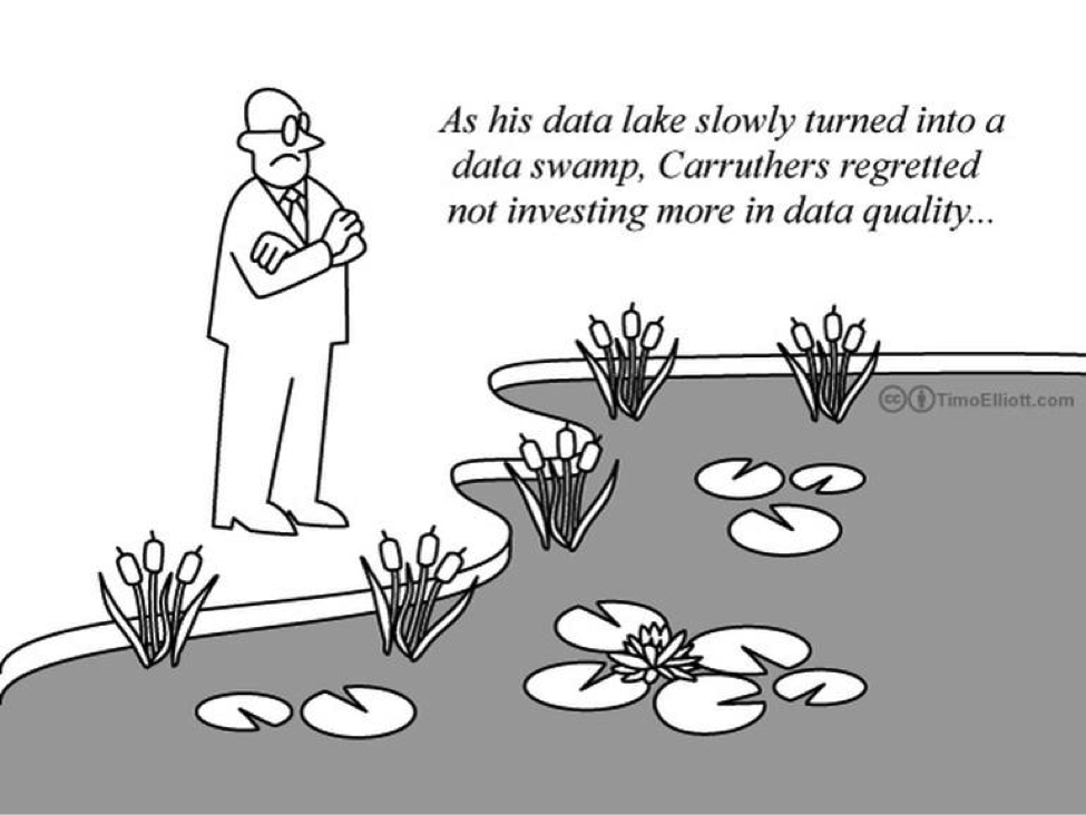 Data Lake Or Data Swamp 