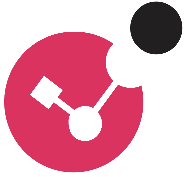 Check Point software small logo