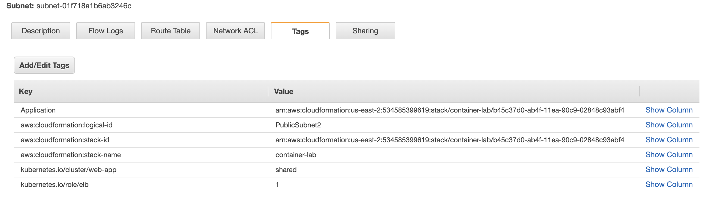 Public Subnet Tags